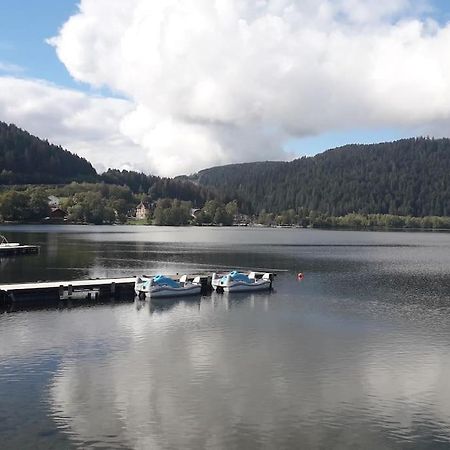 Chalet 3 Etoiles A Gerardmer. Buitenkant foto