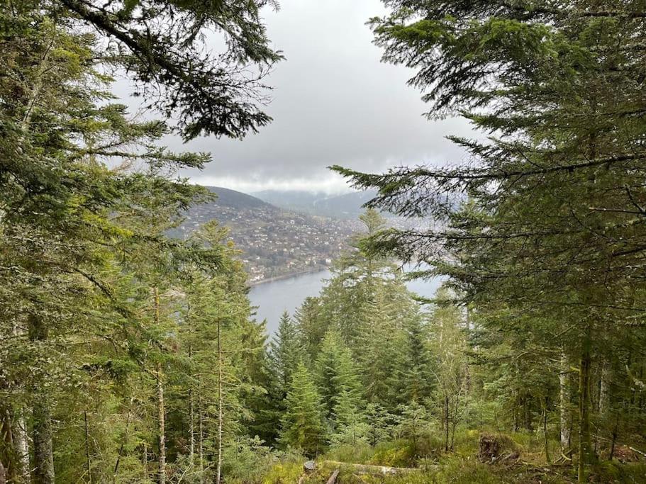 Chalet 3 Etoiles A Gerardmer. Buitenkant foto
