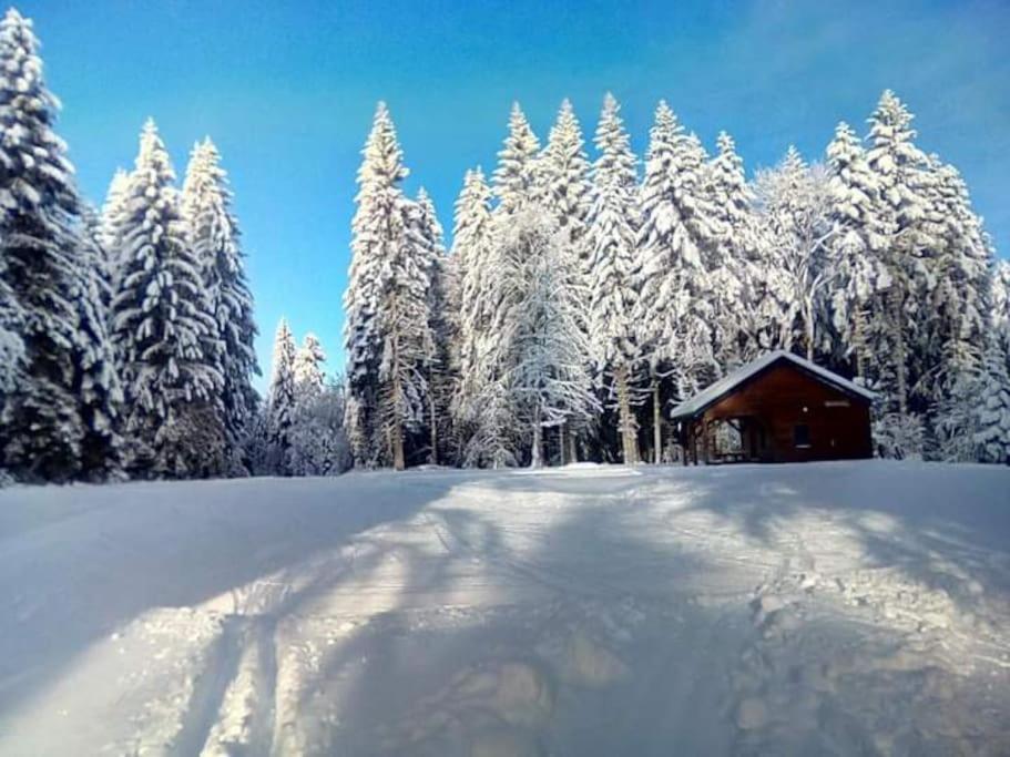 Chalet 3 Etoiles A Gerardmer. Buitenkant foto