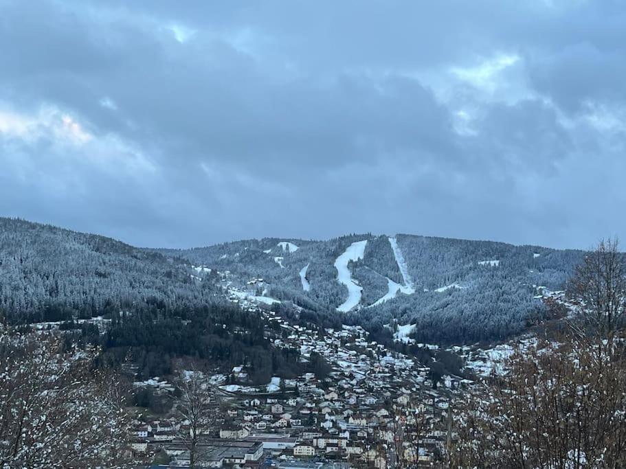 Chalet 3 Etoiles A Gerardmer. Buitenkant foto