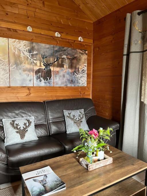 Chalet 3 Etoiles A Gerardmer. Buitenkant foto