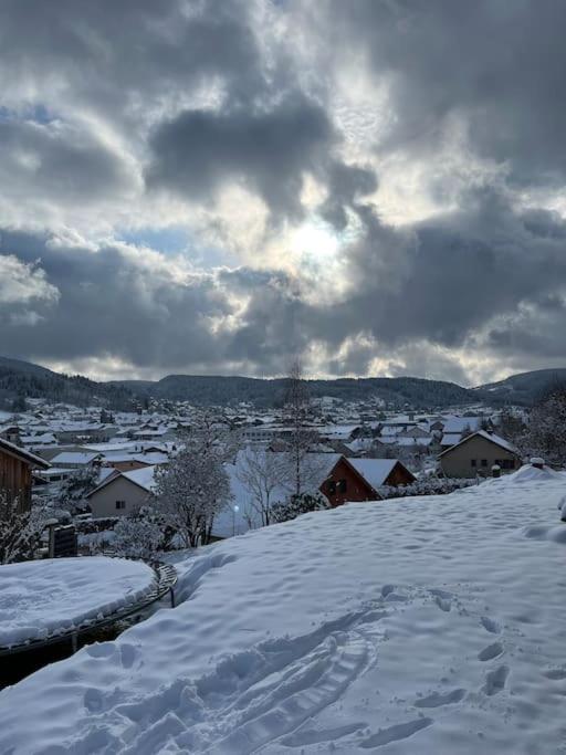Chalet 3 Etoiles A Gerardmer. Buitenkant foto