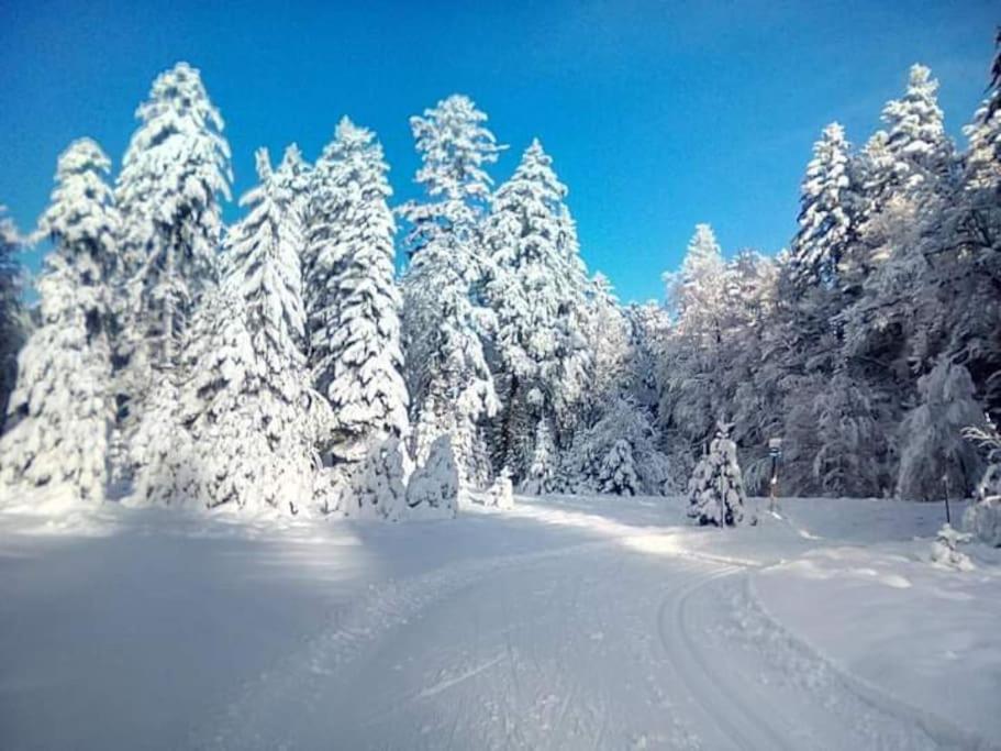 Chalet 3 Etoiles A Gerardmer. Buitenkant foto