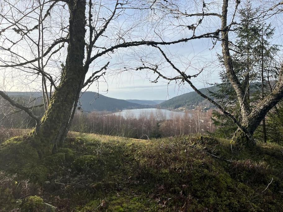Chalet 3 Etoiles A Gerardmer. Buitenkant foto