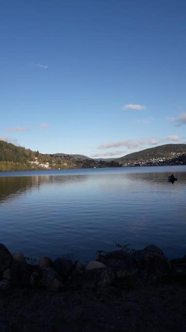 Chalet 3 Etoiles A Gerardmer. Buitenkant foto