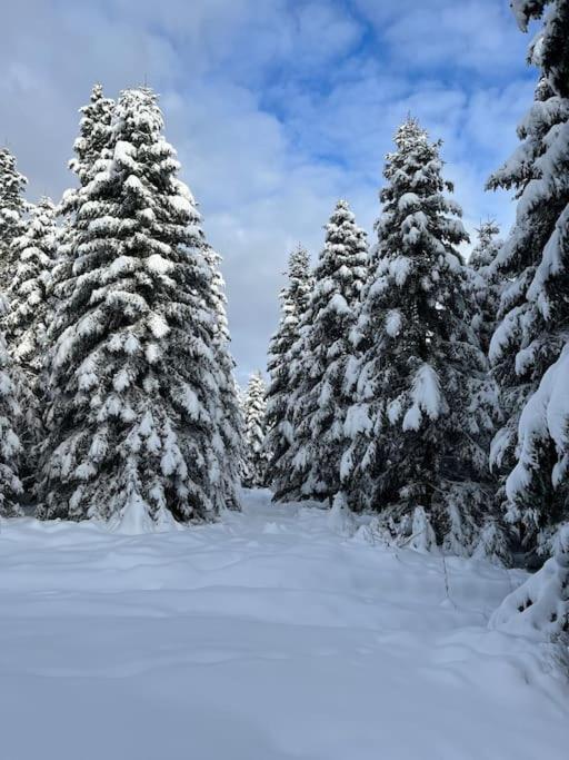 Chalet 3 Etoiles A Gerardmer. Buitenkant foto
