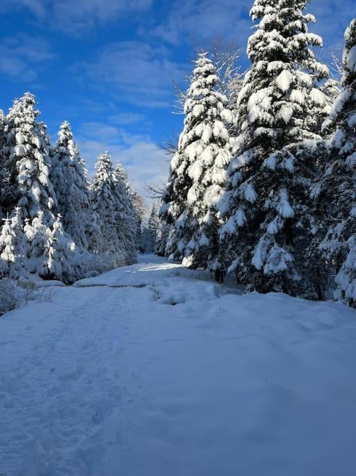 Chalet 3 Etoiles A Gerardmer. Buitenkant foto