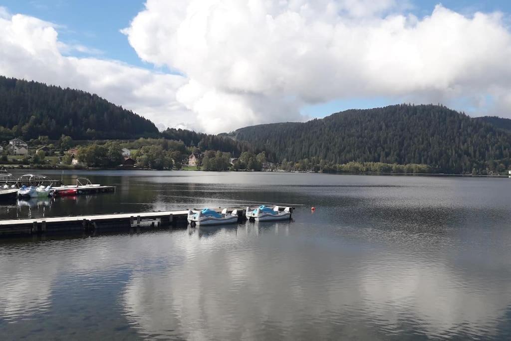 Chalet 3 Etoiles A Gerardmer. Buitenkant foto