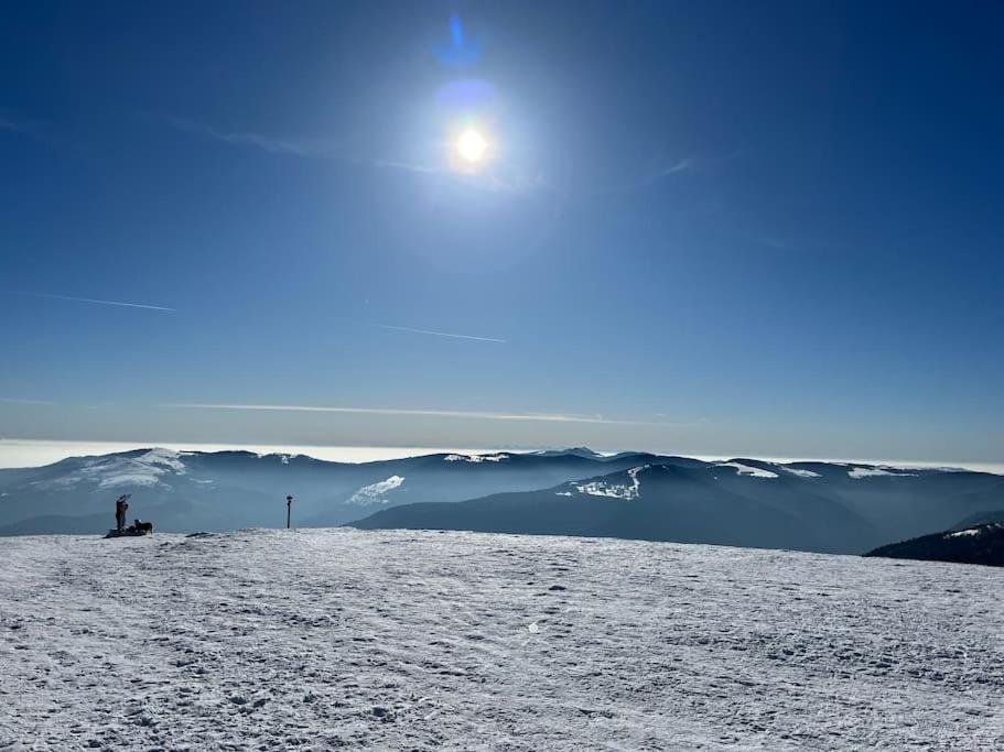 Chalet 3 Etoiles A Gerardmer. Buitenkant foto